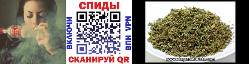 дарк нет Telegram  Шебекино  ОМГ ОМГ ONION  Бутират BDO 33%  купить  сайты 