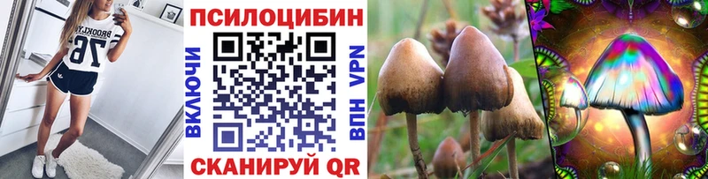 купить  сайты  Шебекино  Псилоцибиновые грибы Magic Shrooms 