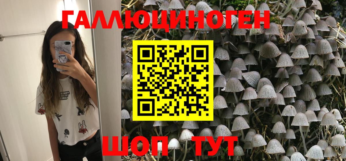 Псилоцибиновые грибы мухоморы  Псилоцибиновые грибы GOLDEN TEACHER  Вход с VPN  Шебекино 