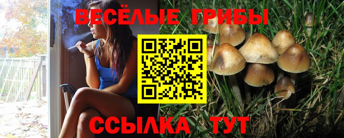 Галлюциногенные грибы мицелий Шебекино