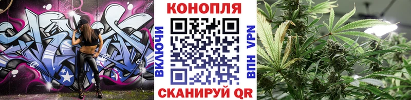магазин    Шебекино  блэк спрут как войти  Канабис марихуана 